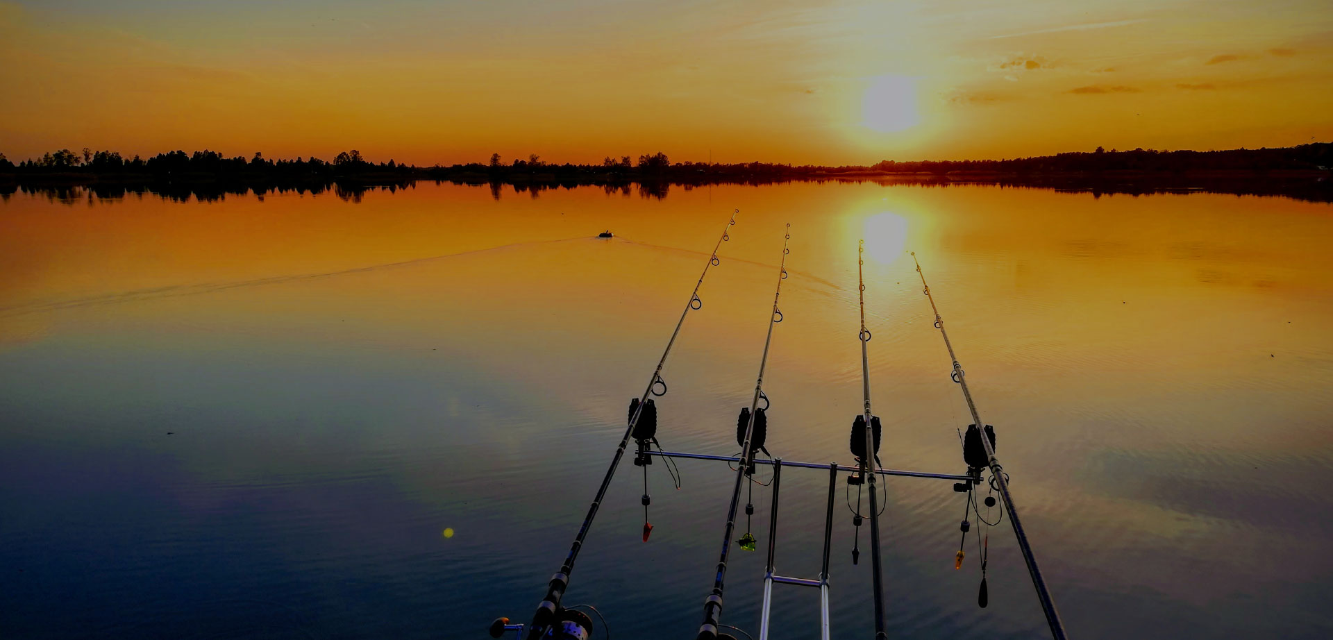 Риболовля та відпочинок на озері Кричевичі